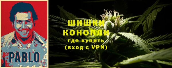 mdpv Протвино