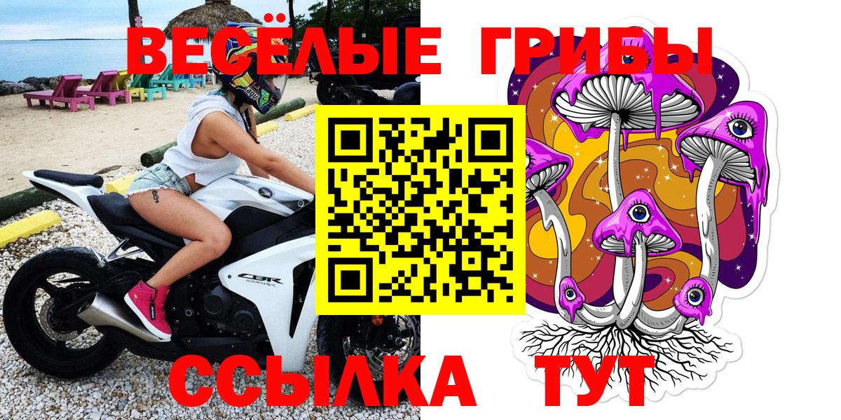 Галлюциногенные грибы мицелий  Солнечногорск 